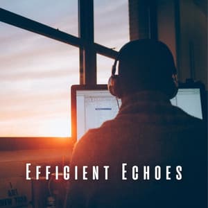Efficient Echoes: Meditation Music for Peak Work Performance - Various Frequencies