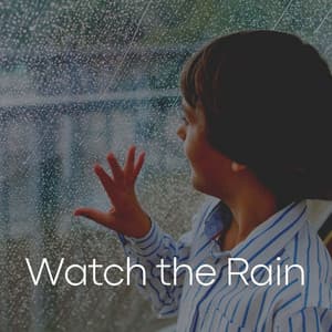 Watch the Rain - Rain Sounds for Relaxation