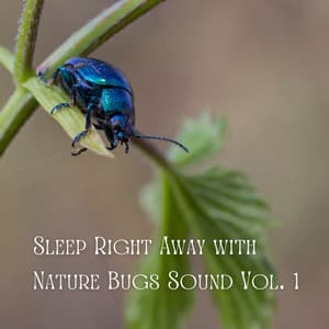 Sleep Right Away with Nature Bugs Sound Vol. 1 - Deep Sleep Sounds