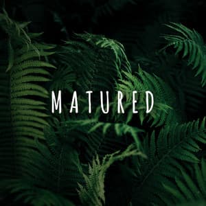 Matured - Zen Sounds