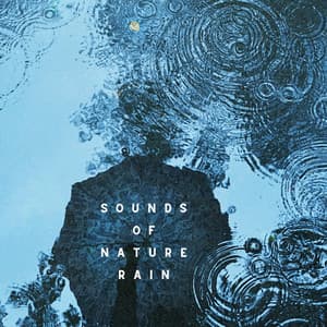 Sounds of Nature Rain - FX & Effects
