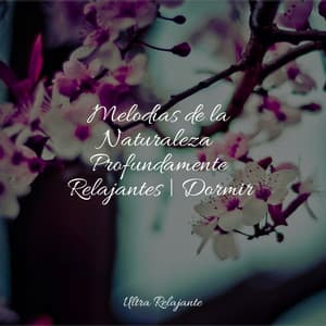 Melodías de la Naturaleza Profundamente Relajantes | Dormir - Lluvia