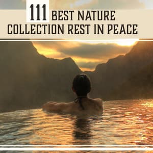 111 Best Nature Collection Rest in Peace - Relaxation Academy
