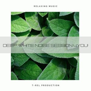 Deep White Noise Session 4you! - Baby Rain Sleep Sounds / Brown Noise Therapy