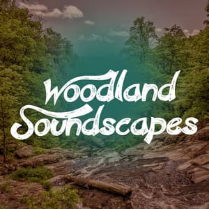 Woodland Soundscapes - Soundscapes