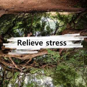 Relieve stress - AMBIENT RADIO