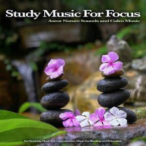 Study Music For Focus: Asmr Nature Sounds and Calm Music For Studying, Music For Concentration, Music For Reading and Relaxation - Studying Music