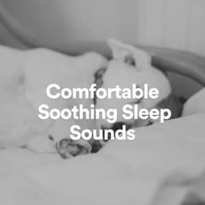 Comfortable Soothing Sleep Sounds - Sleep Sounds Ambient Noises
