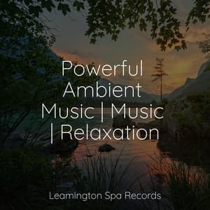 Powerful Ambient Music | Music | Relaxation - Sons da Natureza Relax