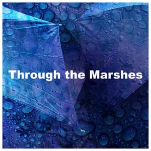 Through the Marshes - Global Thunderstorm Project