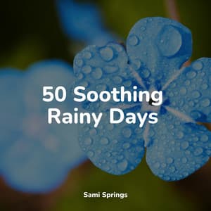 50 Soothing Rainy Days - Yoga Namaste