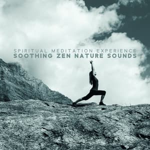 Spiritual Meditation Experience - Soothing Zen Nature Sounds: New Age Meditation, Practice Mindfulness, Clear-Minded - Nature Senses Artist