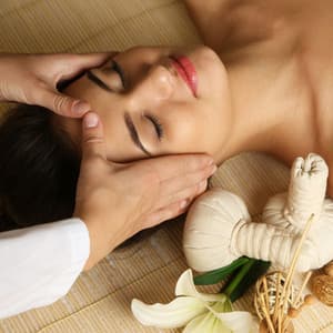 Celestial Harmony: Gentle Nature Melodies for Spa Indulgence - World Recorders