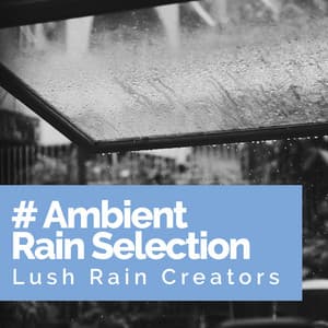 # Ambient Rain Selection - Lush Rain Creators