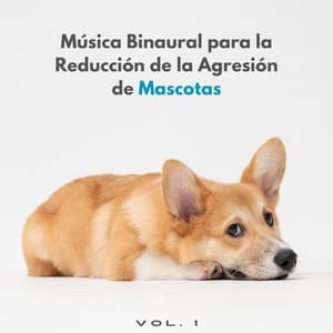 Música Binaural Para La Reducción De La Agresión De Mascotas Vol. 1 - Ondas Alfa Colectivo