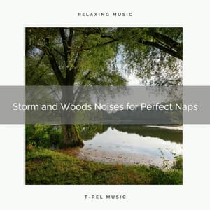 Storm and Woods Noises for Perfect Naps - Calm Rain Sounds