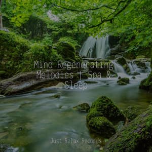 Mind Regenerating Melodies | Spa & Sleep - Yoga