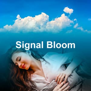 Signal Bloom - Brown Noise Radio