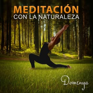 Meditación con la Naturaleza - Relajación Musicoterapia, Ambientes Naturales para la Meditación - Domenya