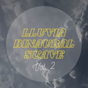 Lluvia Binaural Suave Vol.2 - Lluvia en el Bosque