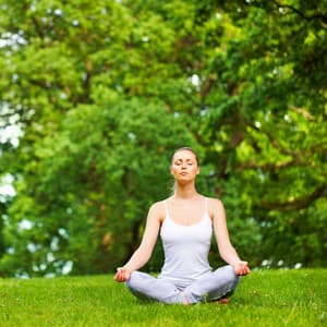 Piano Rain Meditation: A Serene Mind Journey - Rainforest Sounds