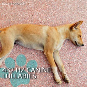 432 Hz Canine Lullabies - Dog Frequencies
