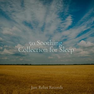 50 Soothing Collection for Sleep - Brain Study Music Guys