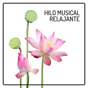 Hilo Musical Relajante - Calma y Relajación