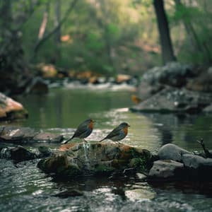 Binaural Nature and Creek Birds Meditation Harmony - Relaxing Mindfulness Meditation Relaxation Maestro