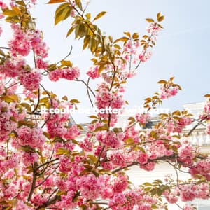 It could be better with jazz - Jazz para Dormir Orquesta