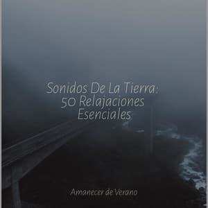 Sonidos De La Tierra: 50 Relajaciones Esenciales - Sonido de lluvia