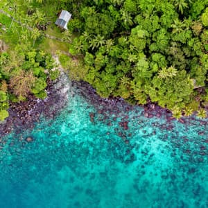 Relaxation Playlist: 50 Tracks for Instant Peace & Tranquility - Calming Sounds