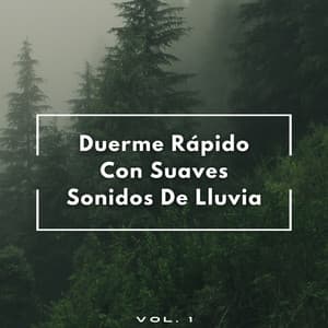 Duerme Rápido Con Suaves Sonidos De Lluvia Vol. 1 - Sonido de lluvia para dormir
