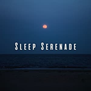 Sleep Serenade: Binaural Harmony with Gentle Ocean Waves - Pure Binaural Beats Sleep