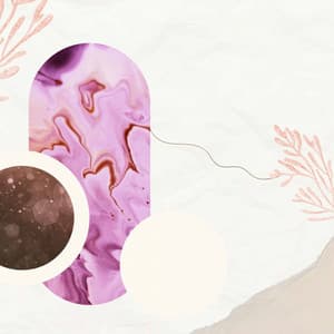 Music for Cinematic Senses - Latin Music - New York Deluxe Dinner Jazz