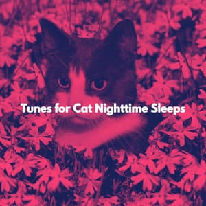 Tunes for Cat Nighttime Sleeps - Coffee Bar Jazz