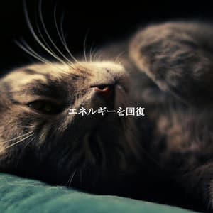 エネルギーを回復 - Playliste Travail à Domicile