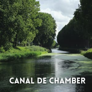 Modo Canal De Chamber - Biblioteca de sonidos de la naturaleza