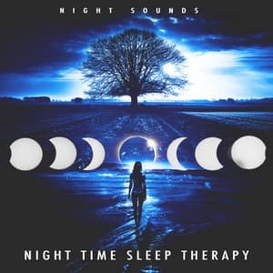 Night Time Sleep Therapy - Night Sounds