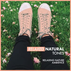 Relaxed Natural Tones - Relaxing Nature Ambience