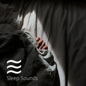 La Collecion de Zumbidos Relajantes Para Dormir Excelente y Meditación - Meditación para Dormir