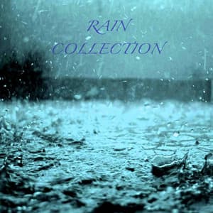 Rain Collection - Rain Sound