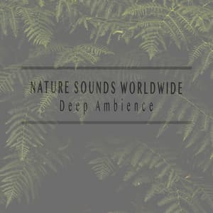 Deep Ambience - Nature Sounds Worldwide