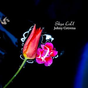 Spoken Soul Resonance - Skye LoU