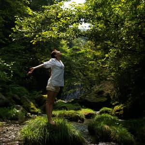 River's Edge: Nature's Creek Serenade for Relaxation - Noise of Water