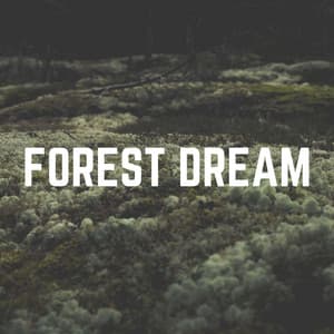 Forest Dream - The Nature Soundscapes