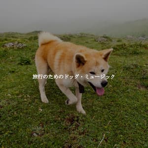 旅行のためのドッグ・ミュージック - French Jazz Lounge