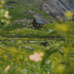 0 Hour Nature: The Thinking Place - Nature Sound Collection