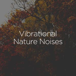 Vibrational Nature Noises - Nature Sound Nature Music