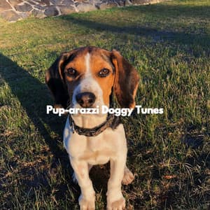 Pup-arazzi Doggy Tunes - Calming Jazz For Dogs